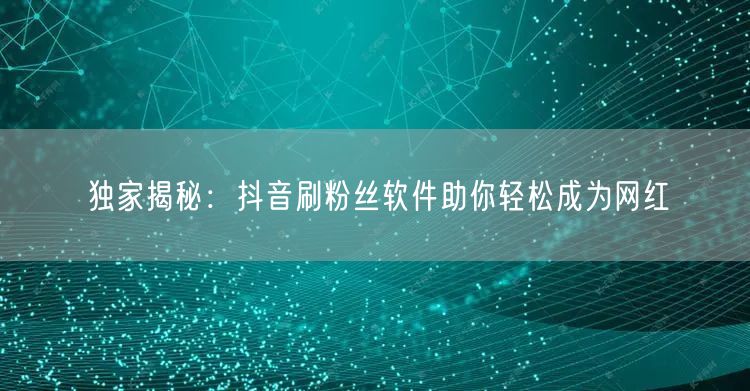独家揭秘：抖音刷粉丝软件助你轻松成为网红