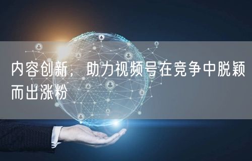 内容创新，助力视频号在竞争中脱颖而出涨粉