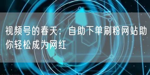 视频号的春天：自助下单刷粉网站助你轻松成为网红