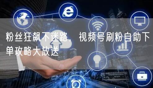 粉丝狂飙不迷路，视频号刷粉自助下单攻略大放送