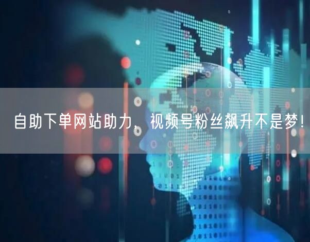 自助下单网站助力，视频号粉丝飙升不是梦！