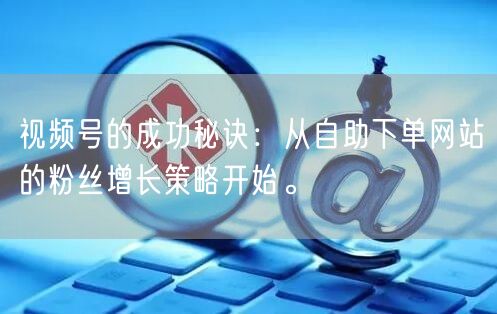 视频号的成功秘诀：从自助下单网站的粉丝增长策略开始。