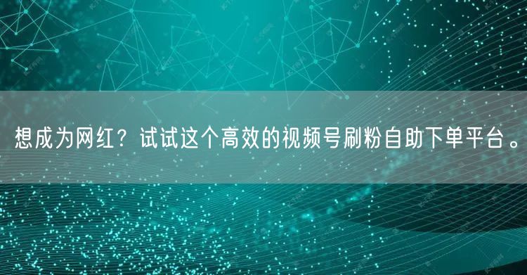 想成为网红？试试这个高效的视频号刷粉自助下单平台。