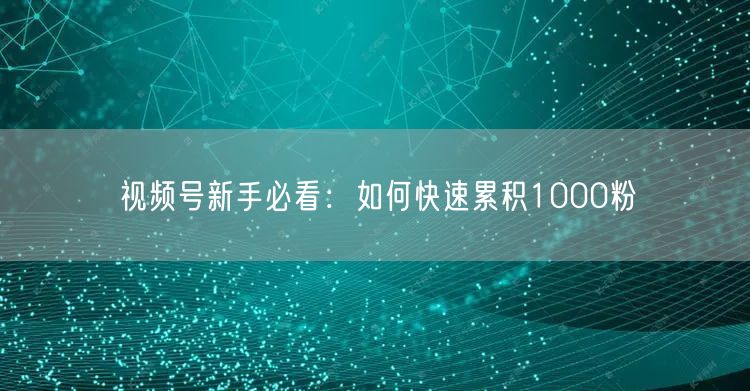 视频号新手必看：如何快速累积1000粉