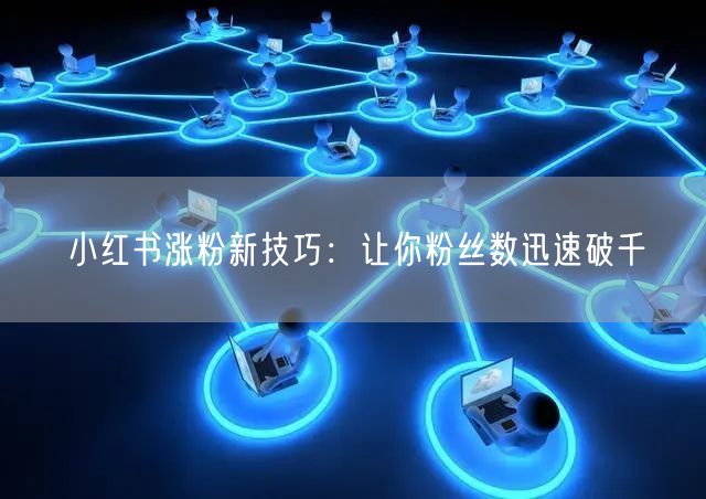 小红书涨粉新技巧：让你粉丝数迅速破千
