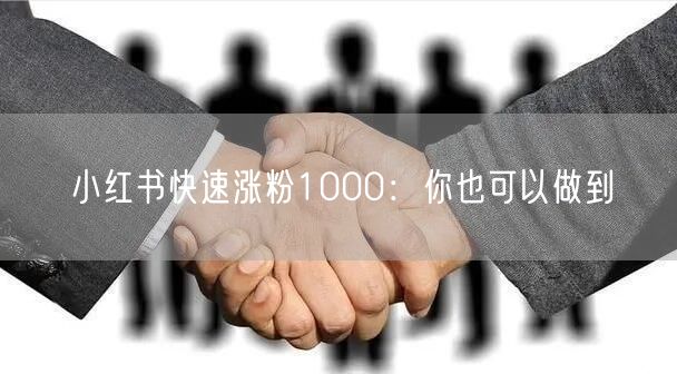 小红书快速涨粉1000：你也可以做到