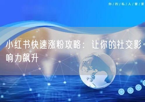 小红书快速涨粉攻略：让你的社交影响力飙升