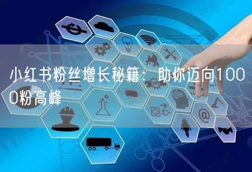 小红书粉丝增长秘籍：助你迈向1000粉高峰