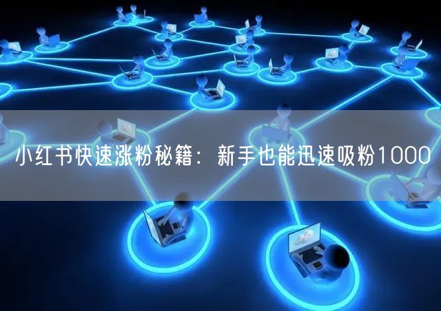 小红书快速涨粉秘籍：新手也能迅速吸粉1000