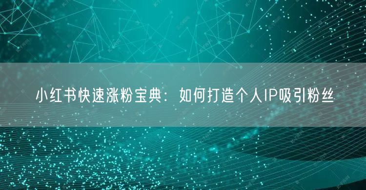 小红书快速涨粉宝典：如何打造个人IP吸引粉丝