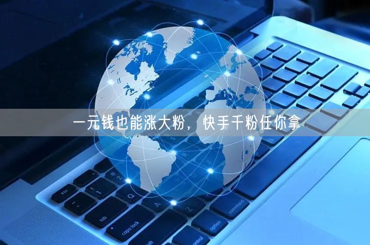 一元钱也能涨大粉，快手千粉任你拿
