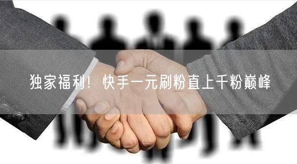 独家福利！快手一元刷粉直上千粉巅峰