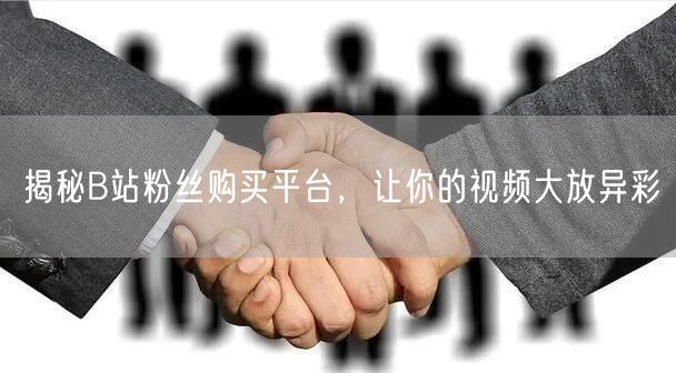 揭秘B站粉丝购买平台，让你的视频大放异彩