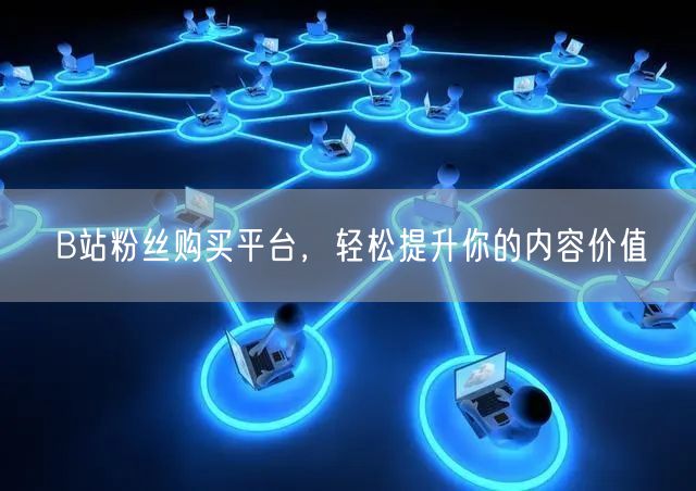 B站粉丝购买平台，轻松提升你的内容价值