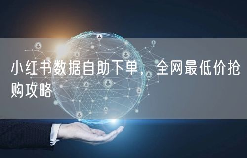 小红书数据自助下单，全网最低价抢购攻略