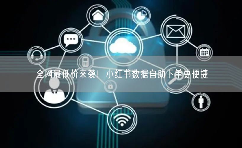 全网最低价来袭！小红书数据自助下单更便捷